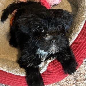 Meet your Posher, Candy